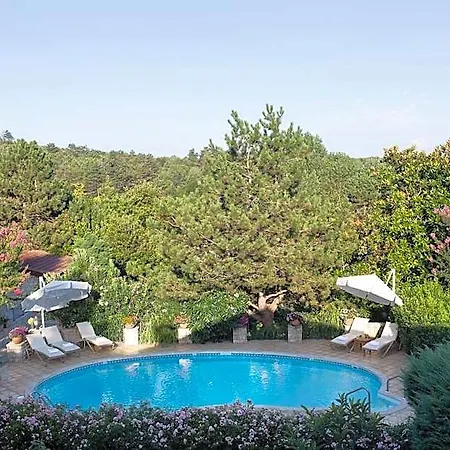 Casa Lavanda Boutique