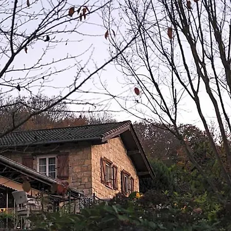 Casa Lavanda Boutique 호텔